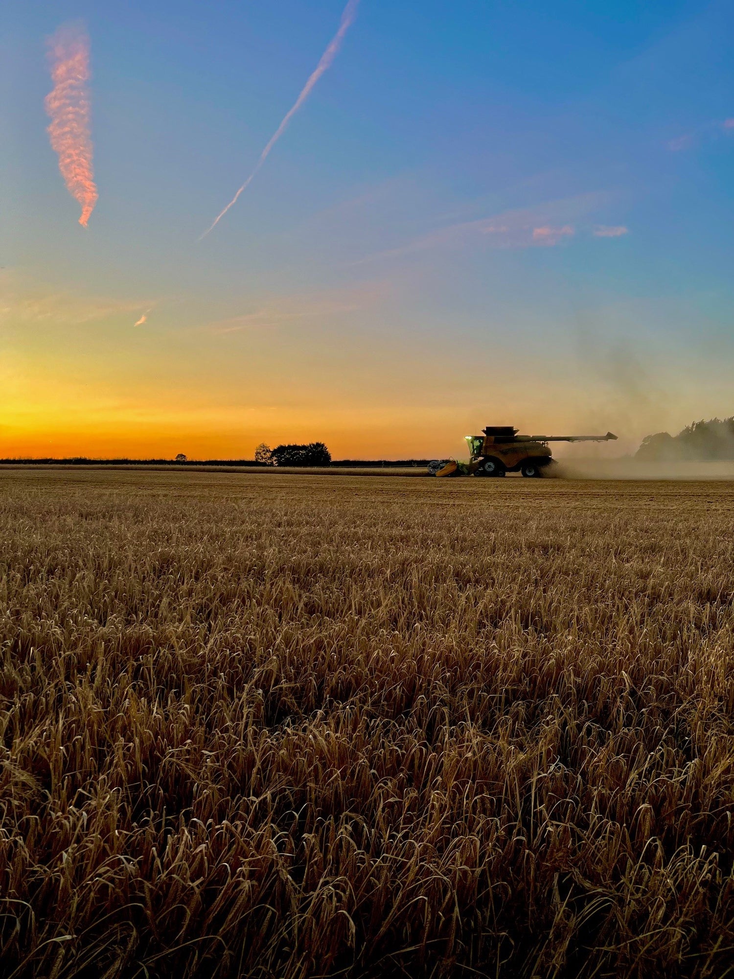 Harvest diary with Farmer Ed