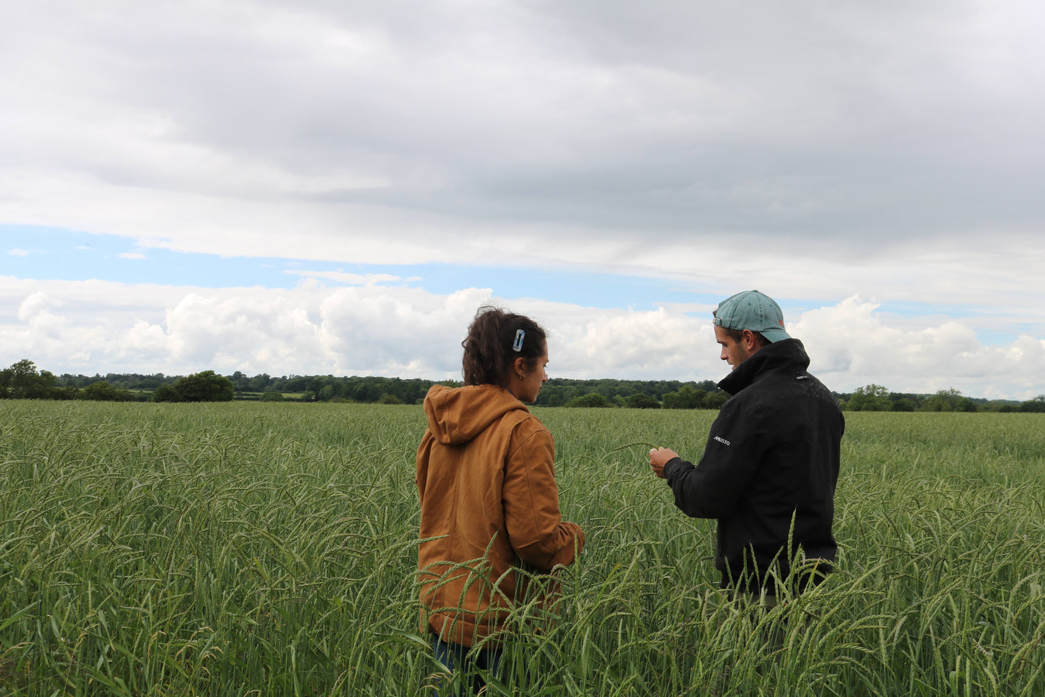 Imy and Ed at the farm checking out the spelt for Northern Pasta